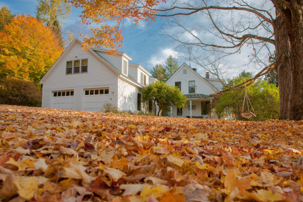 Read more about the article Fall tips for home improvement
