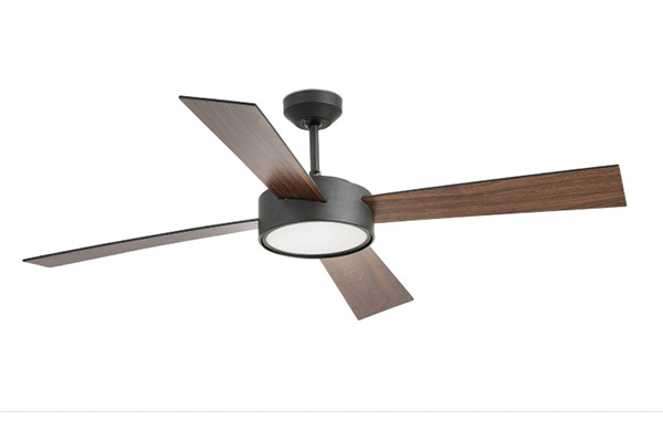 Read more about the article Luxury Smart Fan blends technology with style