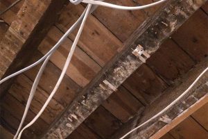 What is the average cost to update your home’s electrical wiring?